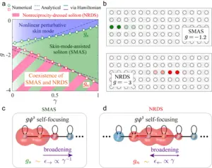 Threshold behavior (a), spatial profiles (b), and formation mechanisms of two non-Hermitian soliton families (c,d).
