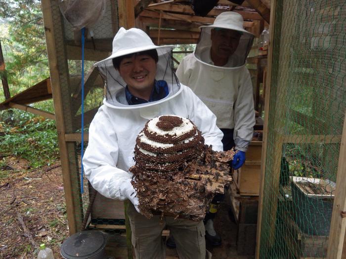 20250523_Saga_Wasp_Nest