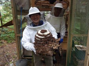 20250523_Saga_Wasp_Nest
