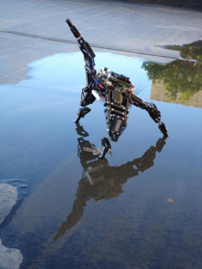 Resilient Robots 2 (of 3)