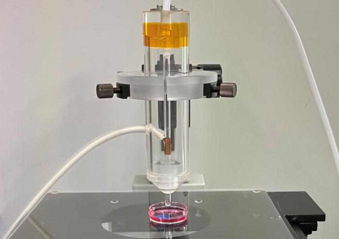 Preparation of plasma-activated medium (PAM)