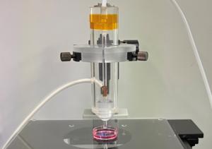 Preparation of plasma-activated medium (PAM)