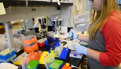 Lorson Lab