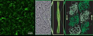 Down to the core