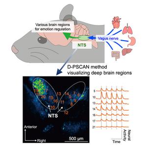 D-PSCAN