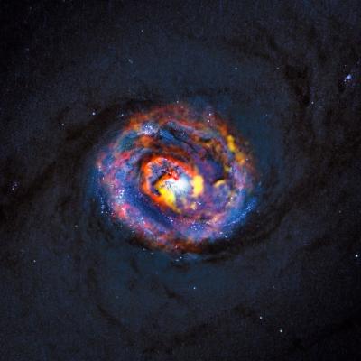 Composite View of the Galaxy NGC 1433 from ALMA and Hubble