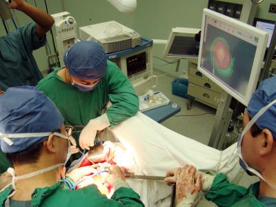 Navigated Liver Surgery