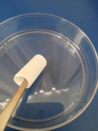 Tissue Engineering Vascular Graft