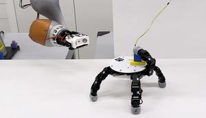 A Detachable Crawling Robotic Hand