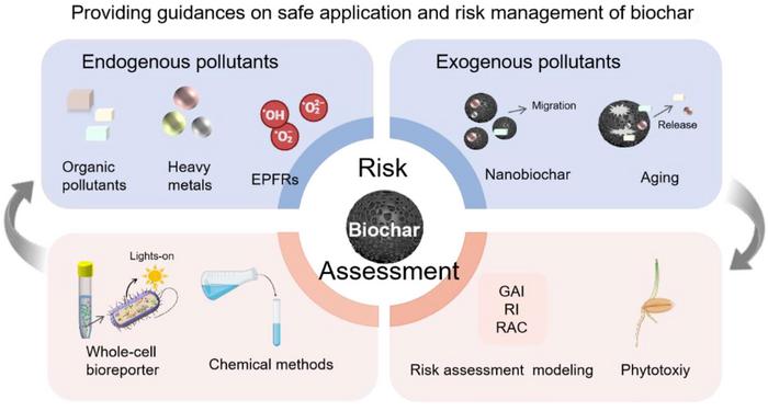 Challenges in safe environmental applications of biochar: identifying risks and unintended consequence