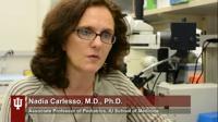 Biochemical Cascade Causes Bone Marrow Inflammation, Leading to Serious Blood Disorders