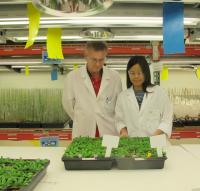 Hnerik Scheller, April Liwanag, JBEI