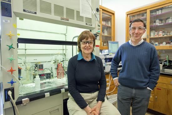 Researchers Lara Gundel and Hugo Destaillats