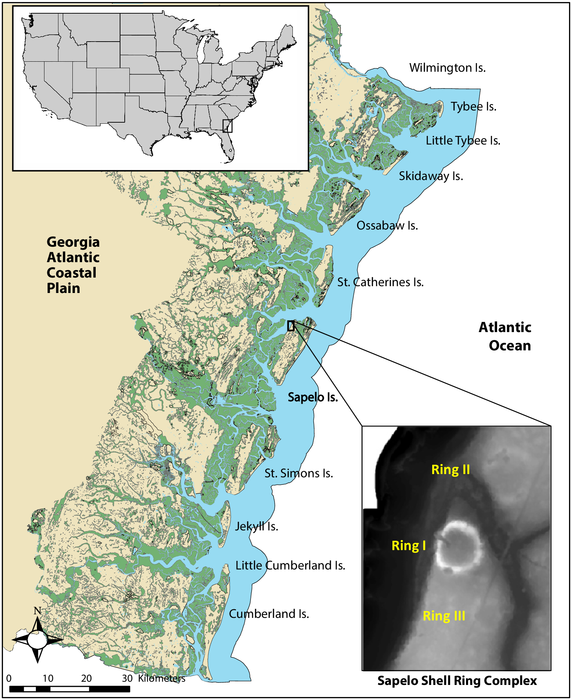 Map of the Georgia coast showing the location of Sapelo Island and shell rings