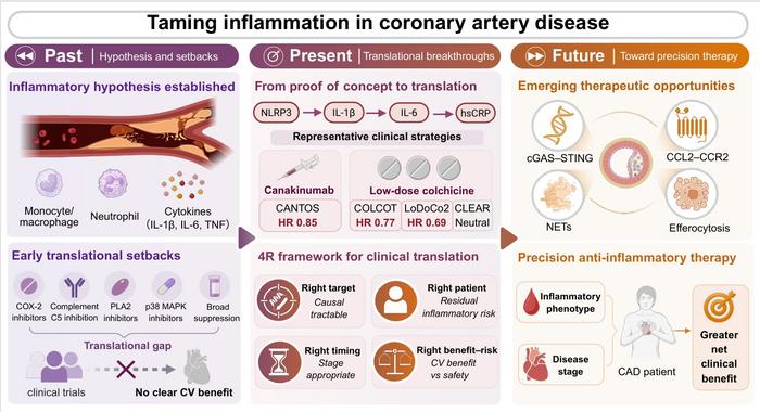 From inflammatory hypothesis to precision anti-inflammatory therapy in coronary artery disease