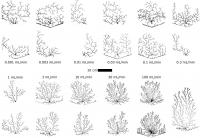 Fracture Patterns