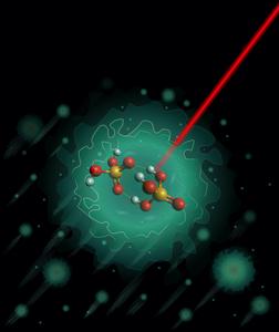 Understanding Nature’s Proton Highway