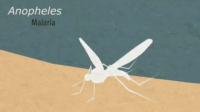 Antimalarial Resistance to Drug Not Passed on to Future Generations (1 of 1)