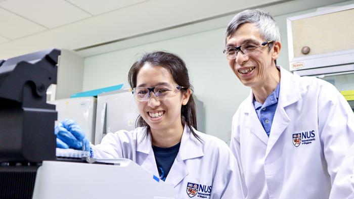 NUS breakthrough for aquaculture: Oral vaccine protects fish from fatal nervous necrosis virus 3
