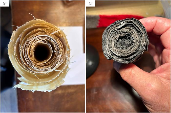 A model carbonized papyrus scroll opens a novel path to identifying readable scrolls of the Herculaneum Library