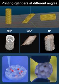 Printing Cylinders at Different Angles, and a Prototype of An Innovative Packaging Material