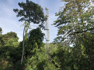 Flux tower