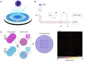 Figure 1 | Working principle of the multifocal metalens.