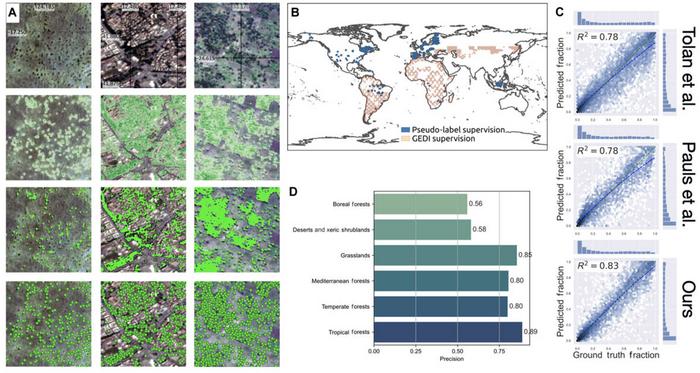 A generalistic model for mapping and detecting trees down to individual level based on anchor-free detection with heatmaps