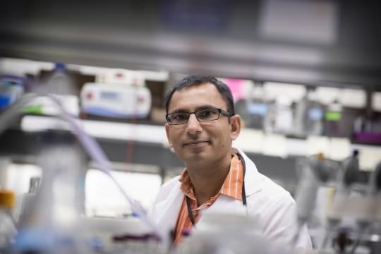UVA Developing 'Two-Headed Arrow' to Kill Ovarian Cancer