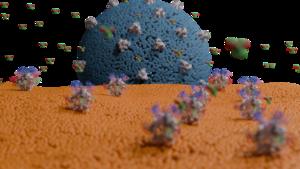 Vanderbilt Center for Antibody Therapeutics Signs Agreement To Develop Anti-Measles Antibody Treatment