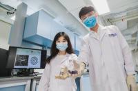 NUS Research Team - DeepKey