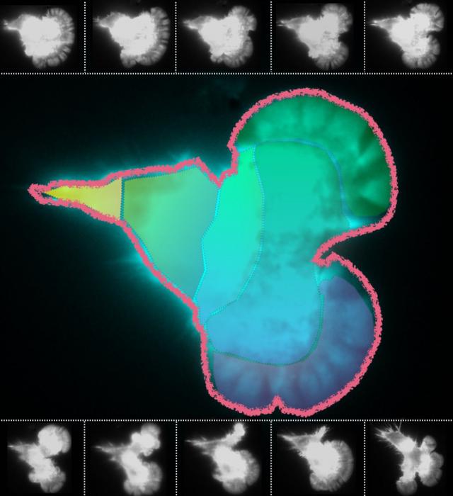 Temperature controlled cell speed