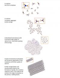 TUe-Crystallization Process