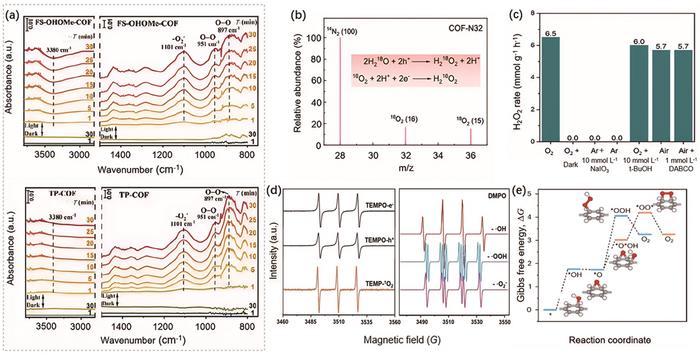 Metal-free catalysts break through in green H2O2 synthesis! Novel organic semiconductors enable high-efficiency interfacial reactions