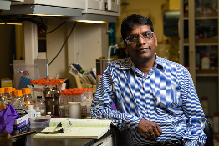 Avoiding an Energy Cold Crunch with More Efficient Cooling