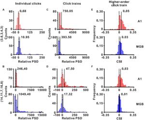 图3-4 比较A1和MGB群体神经元对三个层级时间信息的处理能力