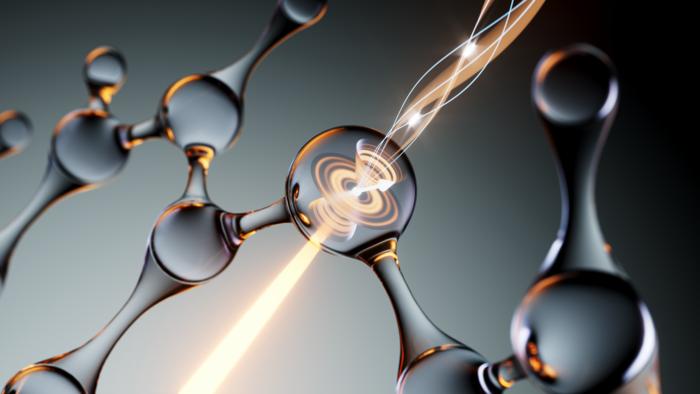 A Single Molecule Spin-Photon Interface