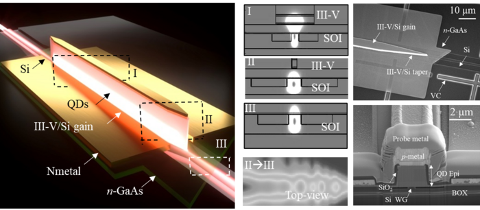 Heterogeneously integrated QD-DFB lasers.