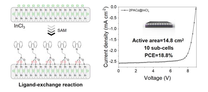 The interface diagram and performance of organic solar cells based on the molecular locking strategy