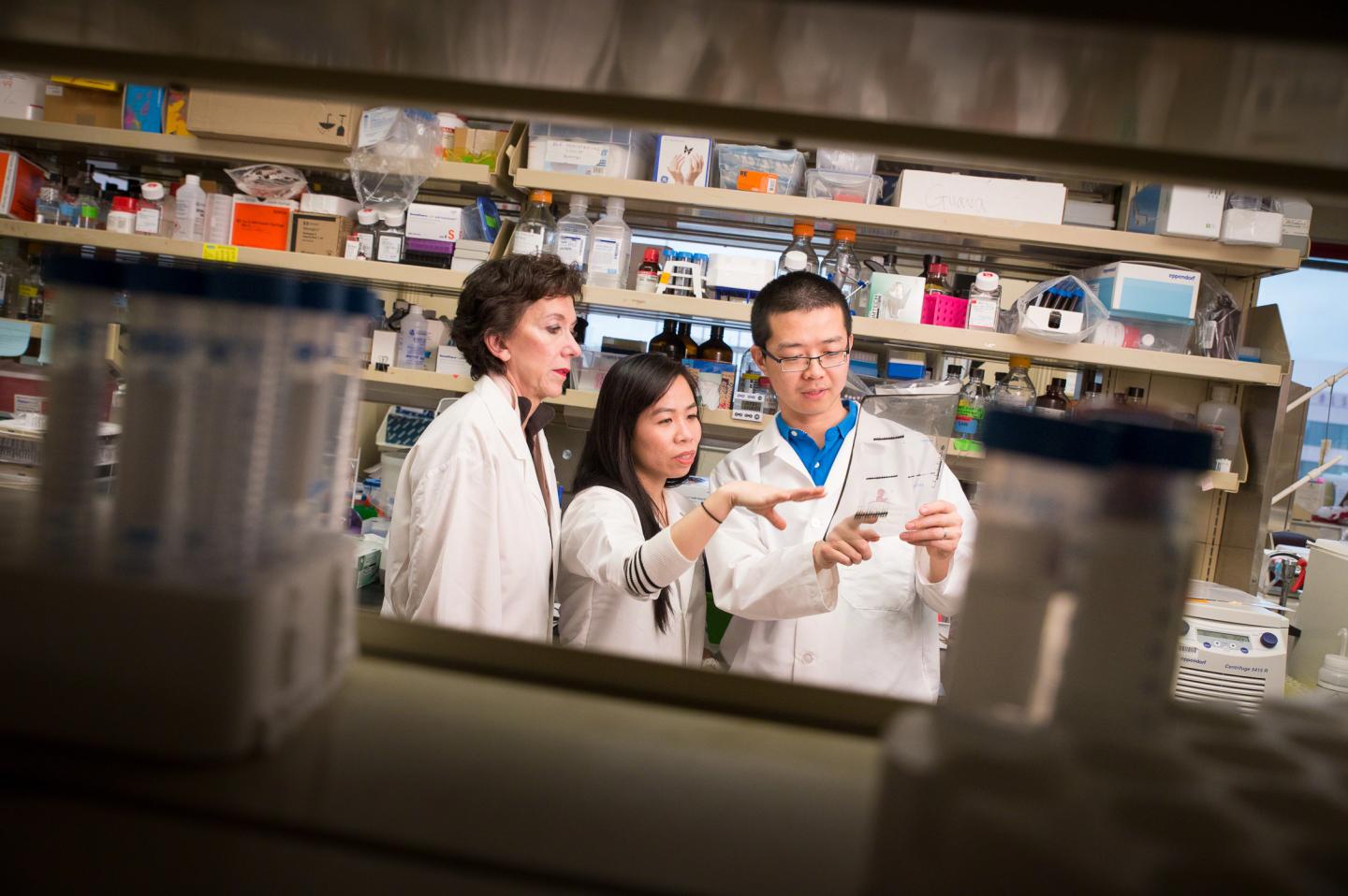 Martine Roussel, Ph.D., BaoHan Vo, Ph.D., and Chunliang Li, Ph.D.