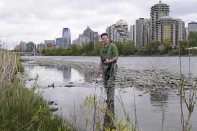 Gender-bending Fish Research