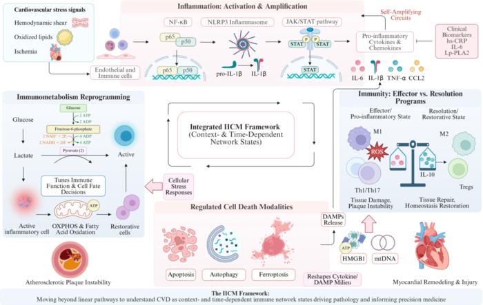 Graphical Abstract