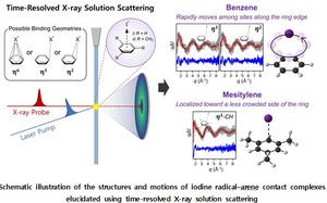 Schematic illustration of the structures and motions of iodine radical–arene contact complexes elucidated using time-resolved X-ray solution scattering.