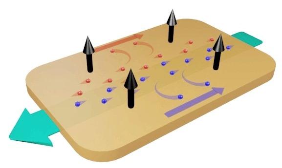 Giant Magnetoresitance in Niobium Phosphide