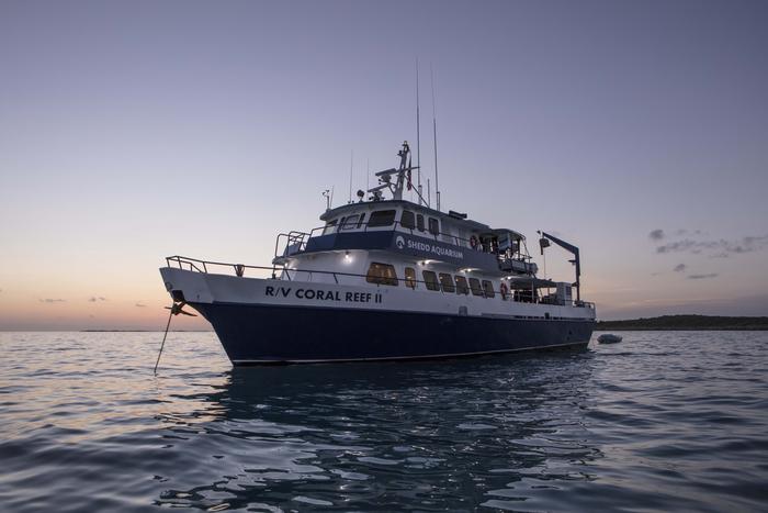 R/V Coral Reef II