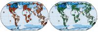 Worldwide Changes in Vegetation Since the Last Ice Ages