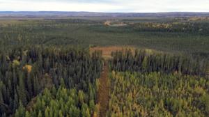 Wellpad moss October 2024