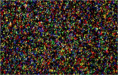 Exome Data