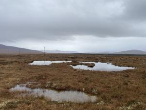 Climate and water-table levels regulate peat accumulation rates across Europe
