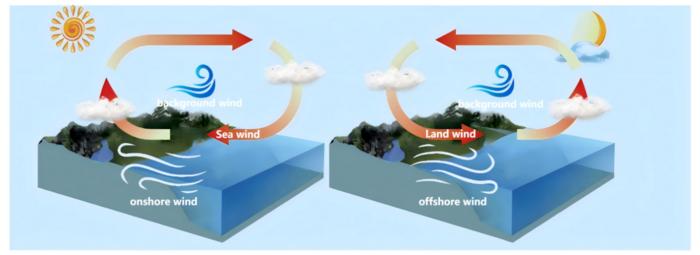 Progress in the study of sea land breeze: Identification, observation, and interacting factors